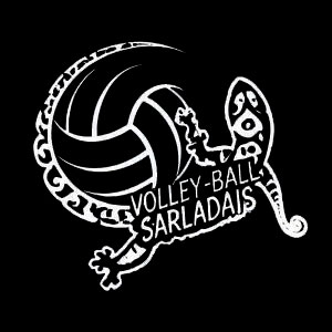 Logo Volley Ball Sarladais