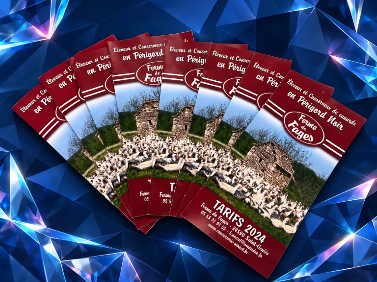 Brochures tarifs 2024 de la Ferme de Fages disposées en éventail : couverture bordeaux avec le troupeau de canards devant une cabane en pierre